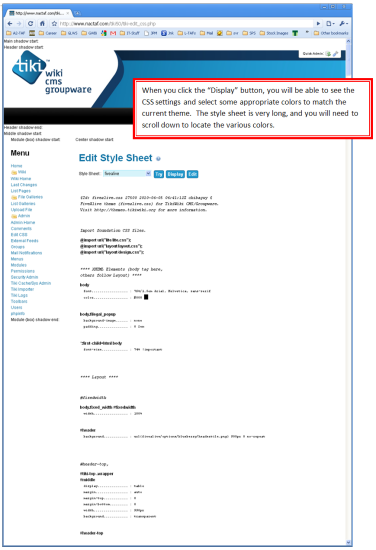 Figure 9 - Display the CSS